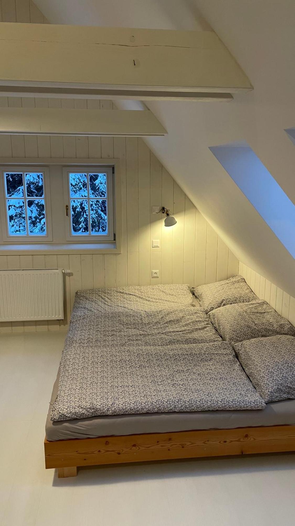 Izerina Cottage Horní Maxov Esterno foto